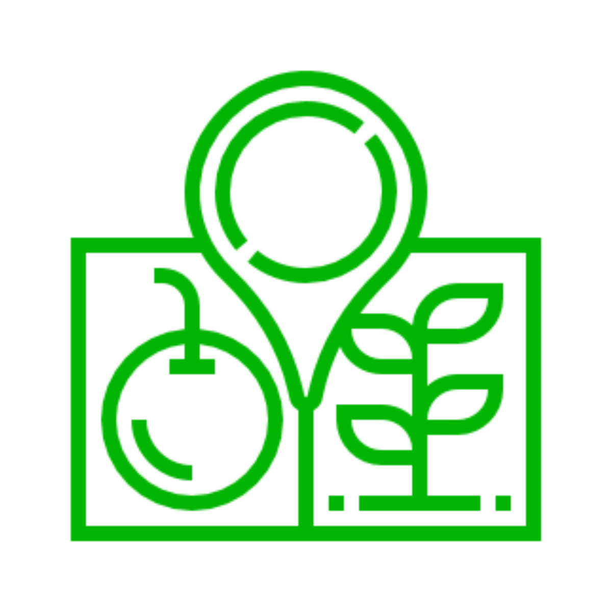 producteur bio producteurs bio valence drome