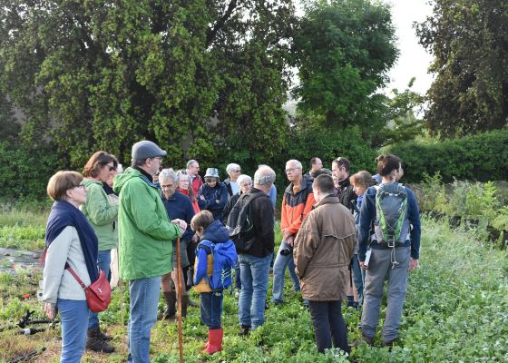 producteurs bio foire gourmande valence drome